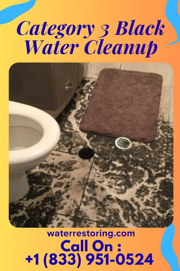 Category 3 Black Water Cleanup in Plum Springs, KY