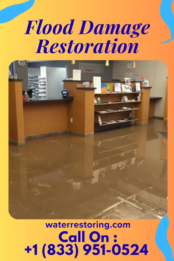 Flood Damage Restoration in Plum Springs, KY