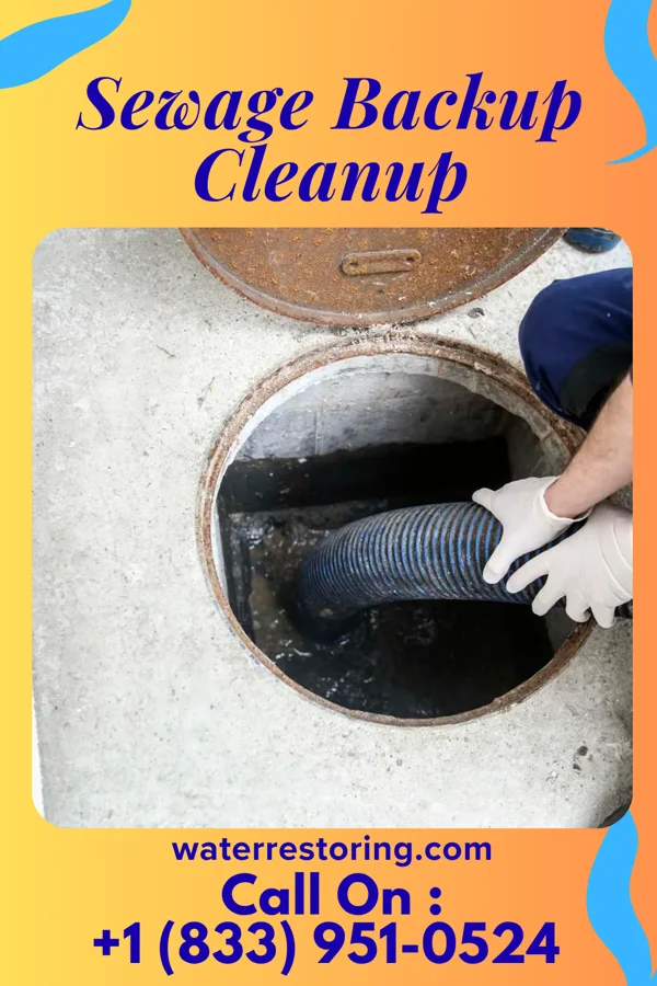 Sewage Backup Cleanup in Plum Springs, KY