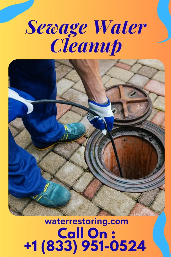 Sewage Water Cleanup in Plum Springs, KY