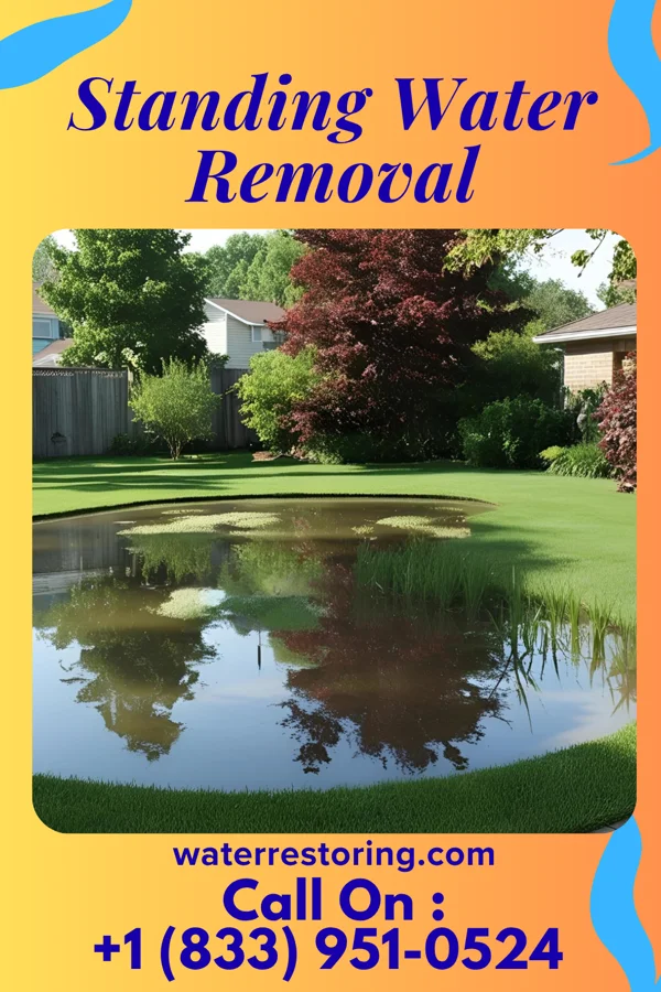 Standing Water Removal in Plum Springs, KY